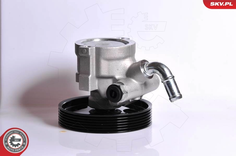 Hydraulic Pump, steering 10SKV163