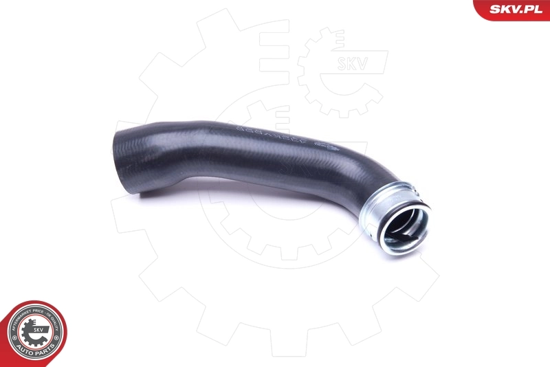 Radiator Hose 43SKV656