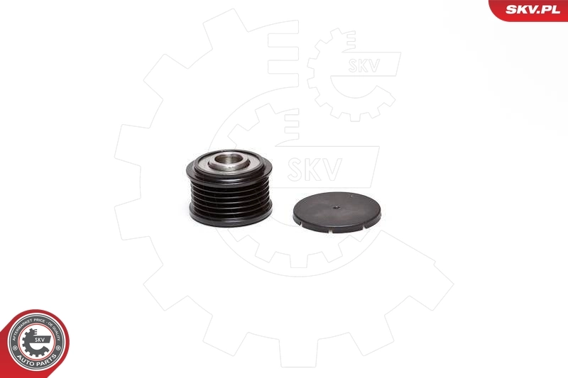 ESEN SKV 11SKV039 Alternator Freewheel Clutch