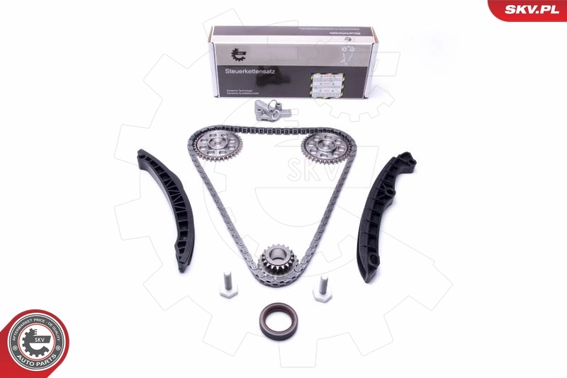 Timing Chain Kit 21SKV233