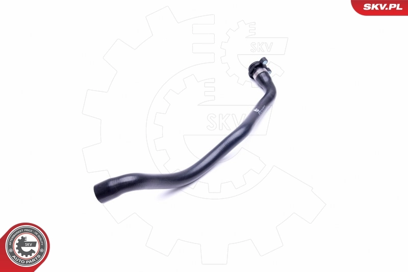 Radiator Hose 43SKV634