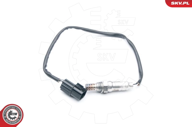 Oxygen Sensor 09SKV731