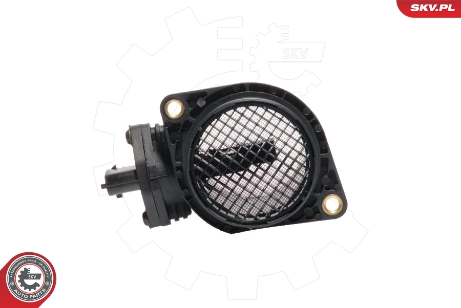 Mass Air Flow Sensor 07SKV037