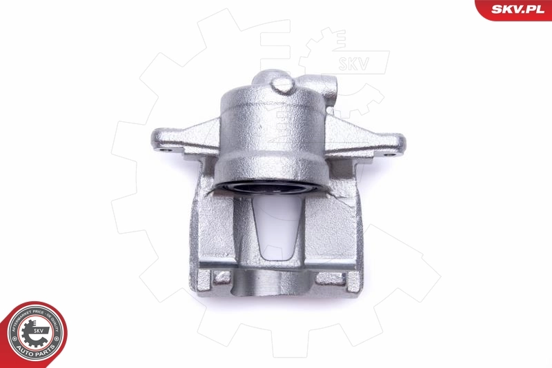 Brake Caliper 55SKV912