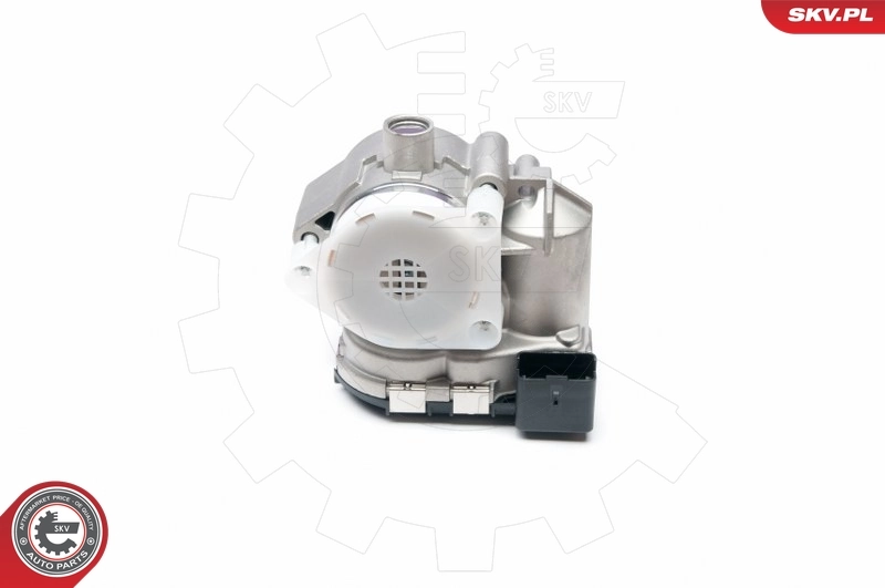ESEN SKV 12SKV046 Throttle Body