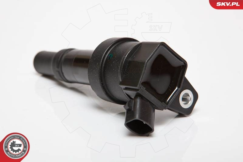 Ignition Coil 03SKV201