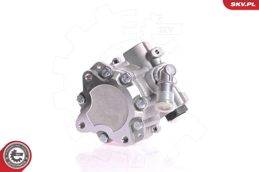 Hydraulic Pump, steering 10SKV167