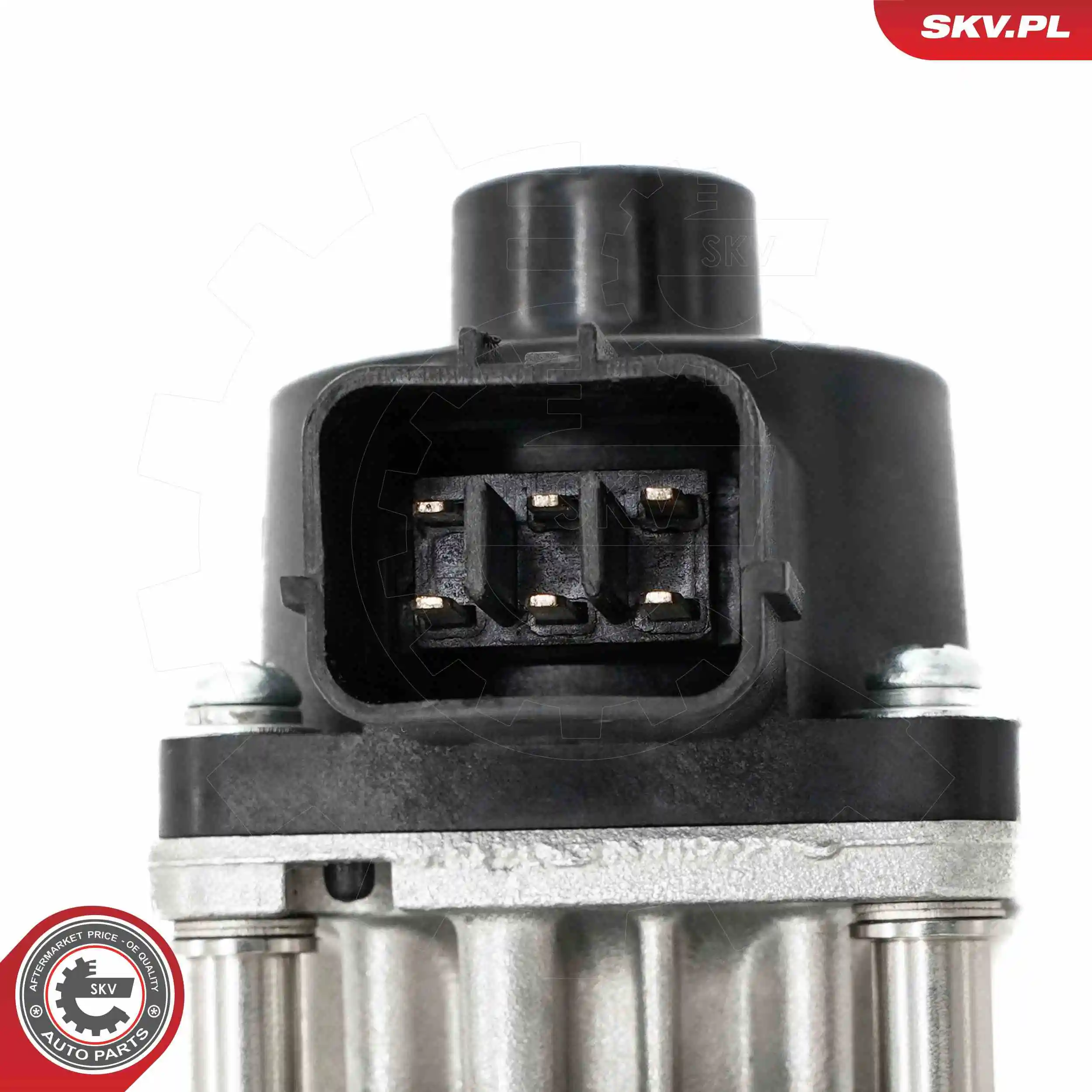 ESEN SKV 14SKV260 EGR Valve