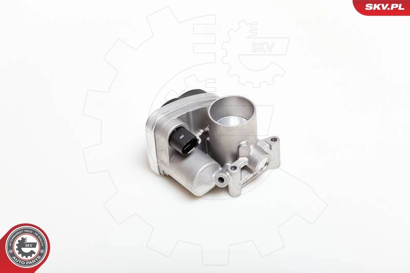 Throttle Body 12SKV030