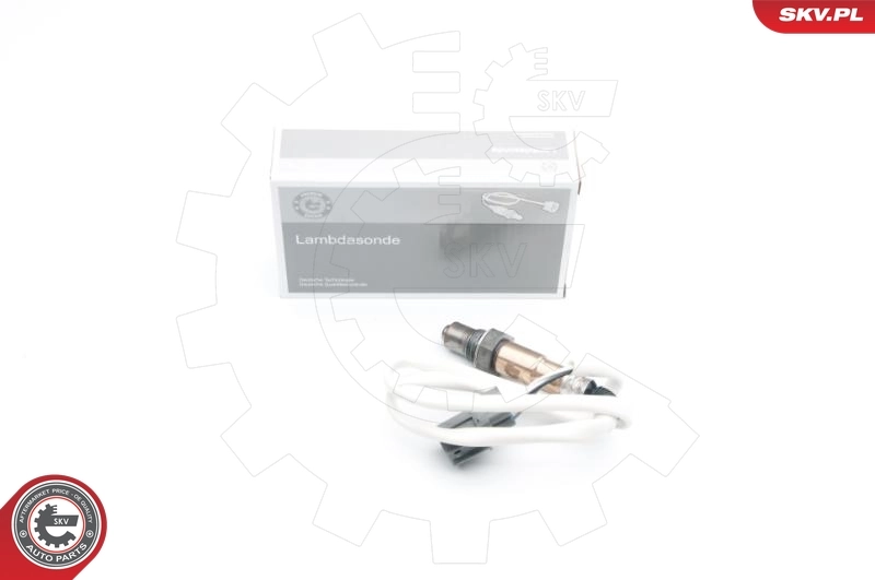 Oxygen Sensor 09SKV648