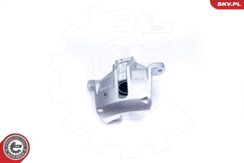 Brake Caliper 42SKV842