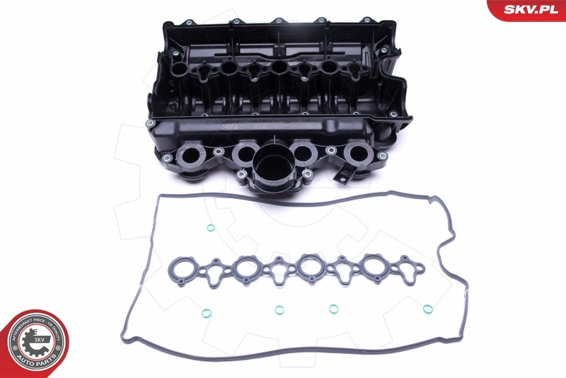 Intake Manifold Module 49SKV021