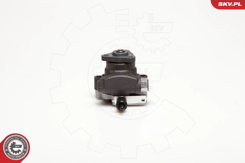 Hydraulic Pump, steering 10SKV095