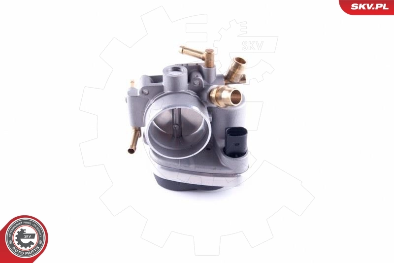 Throttle Body 12SKV095
