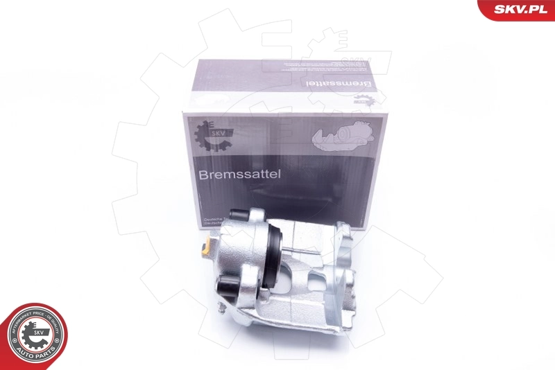 Brake Caliper 42SKV051