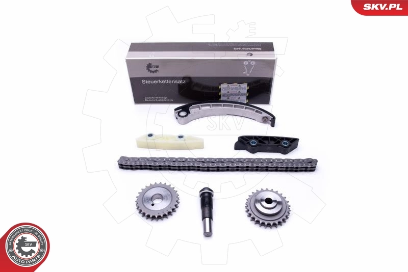 Timing Chain Kit 21SKV143