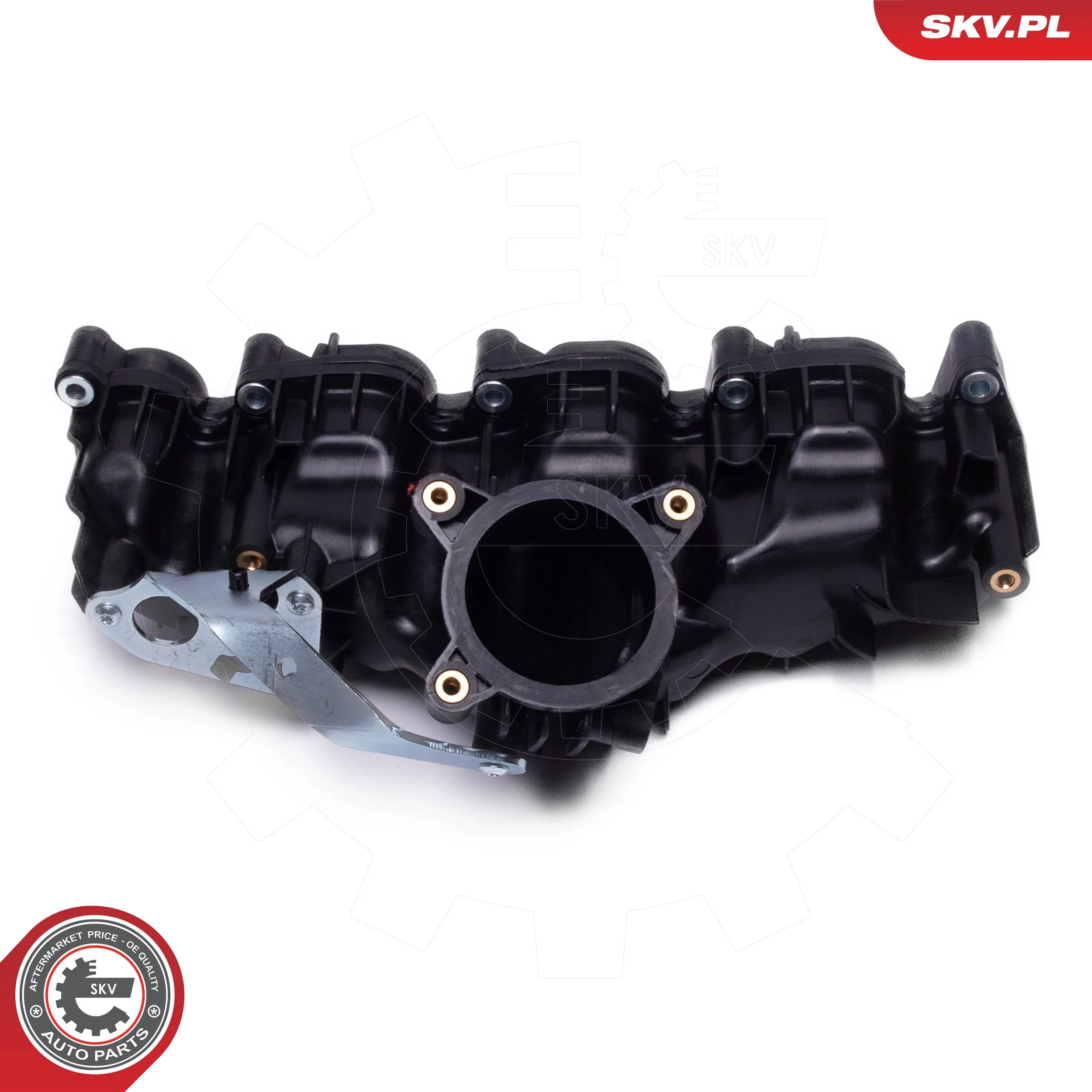 ESEN SKV 49SKV077 Intake Manifold Module