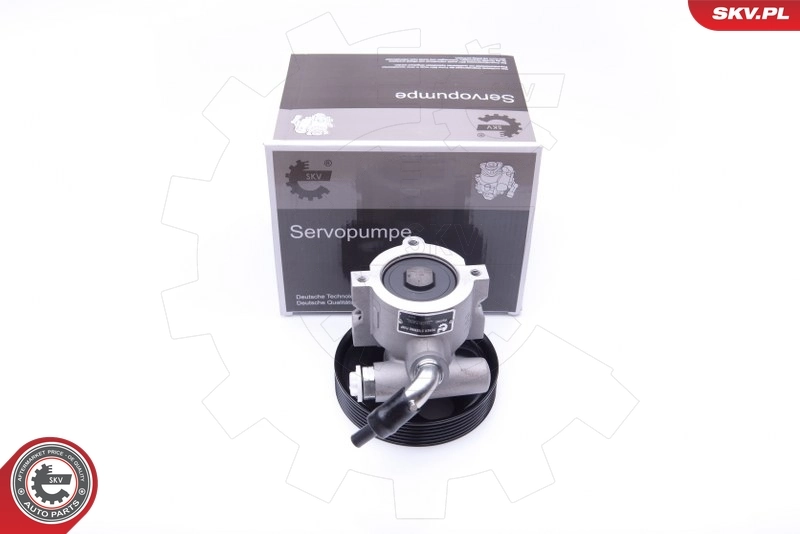 Hydraulic Pump, steering 10SKV250