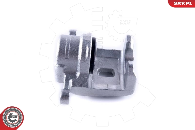 Brake Caliper 55SKV373