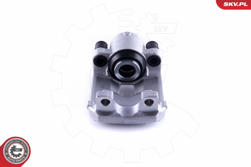 Brake Caliper 55SKV333