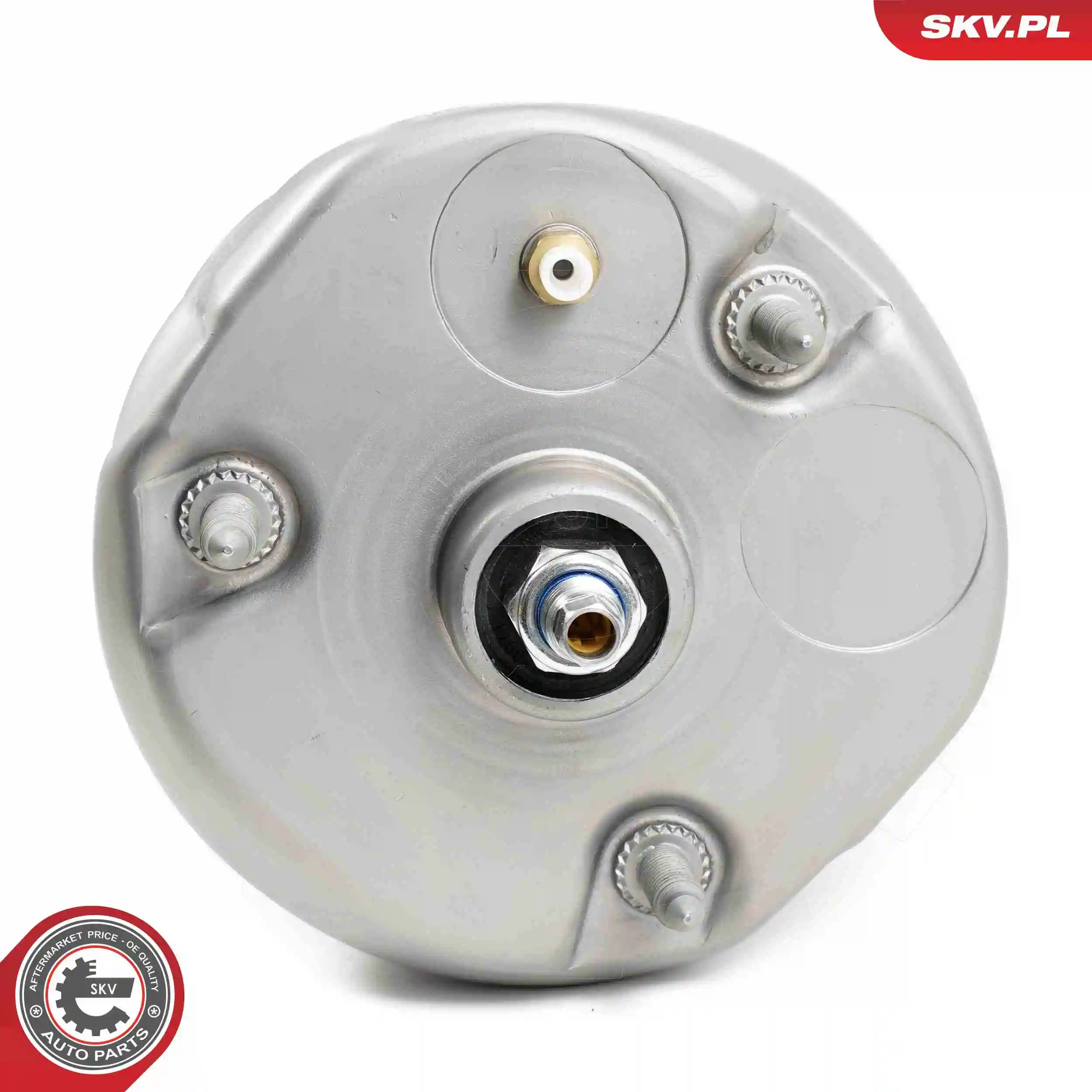 Air Suspension Strut 58SKV708