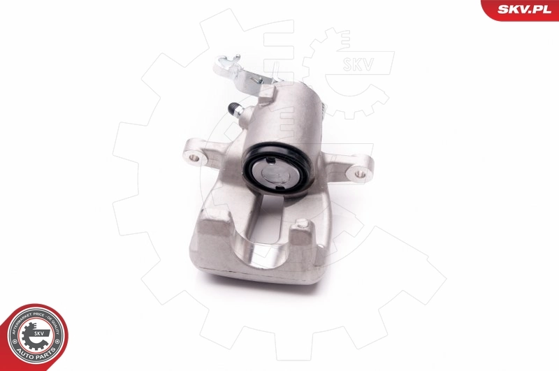 Brake Caliper 34SKV033