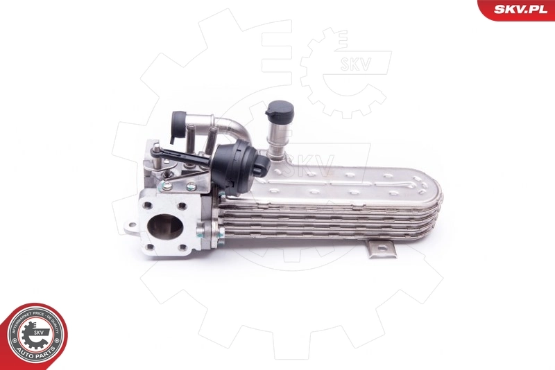 Cooler, exhaust gas recirculation 14SKV138