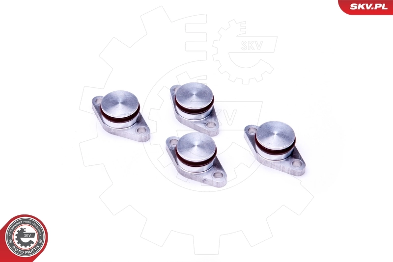 ESEN SKV 49SKV544 Repair Kit, intake manifold module