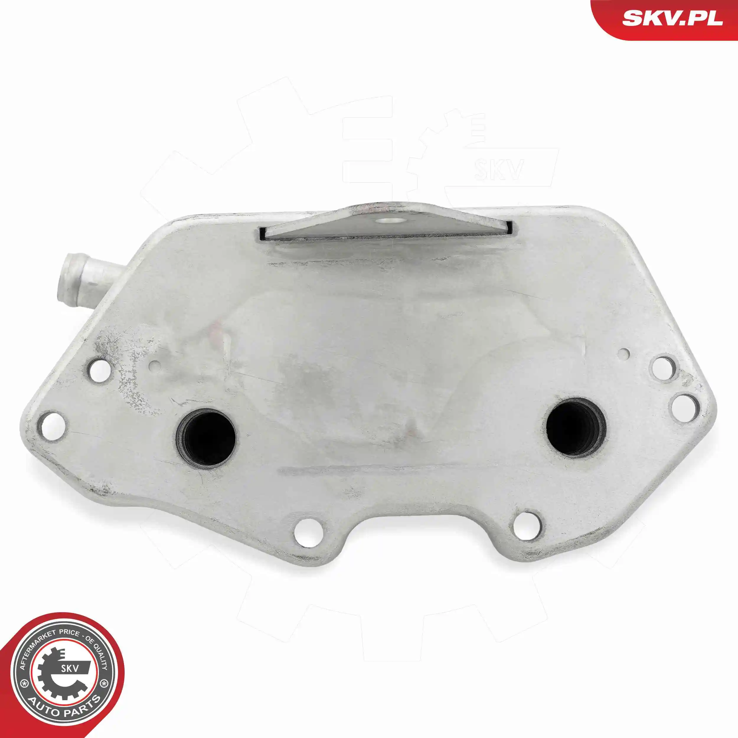 Oil Cooler, engine oil 31SKV286