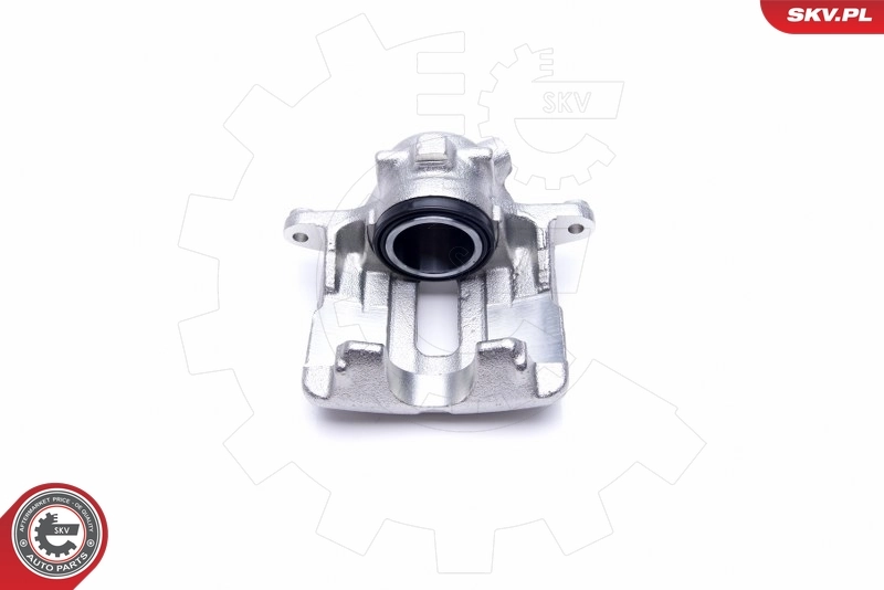 Brake Caliper 42SKV641