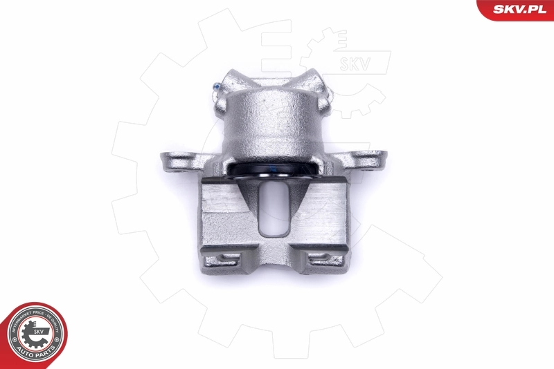 Brake Caliper 50SKV542