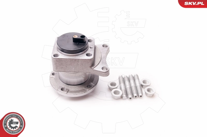 ESEN SKV 29SKV078 Wheel Bearing Kit