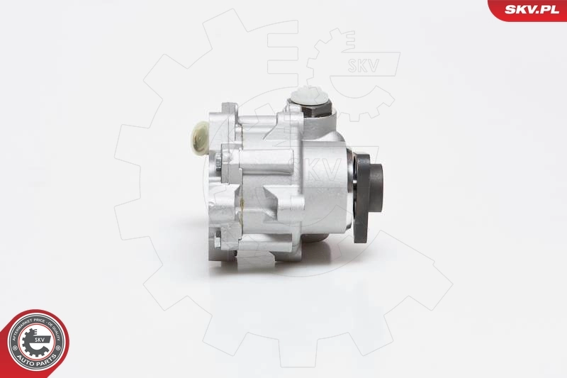 Hydraulic Pump, steering 10SKV014