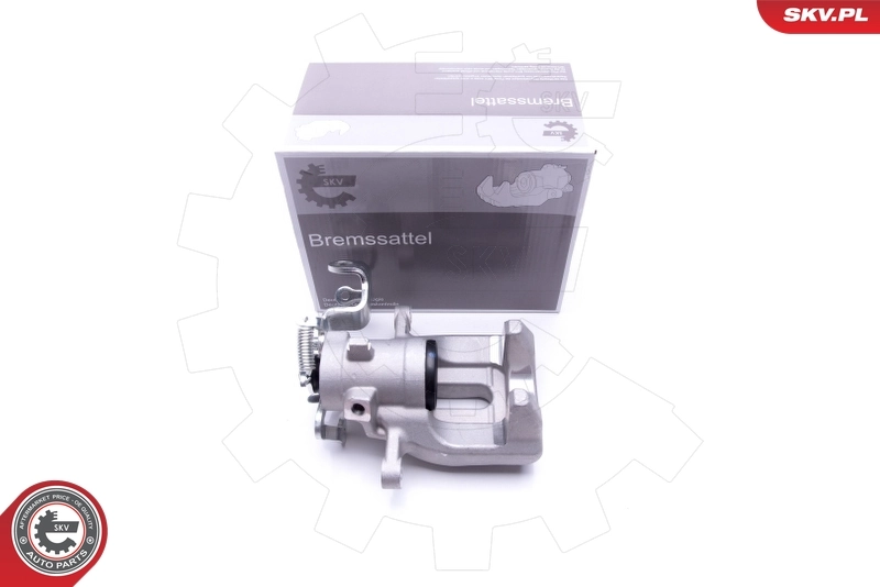 Brake Caliper 46SKV203