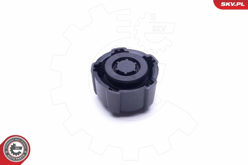 Cap, coolant tank 61SKV027