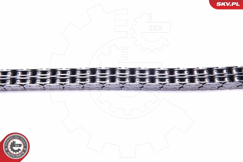 Timing Chain Kit 21SKV144