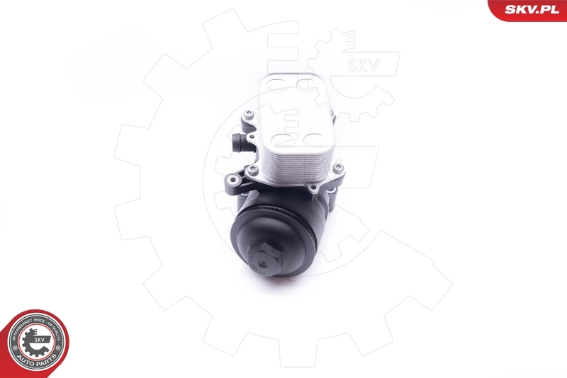 Housing, oil filter 31SKV054