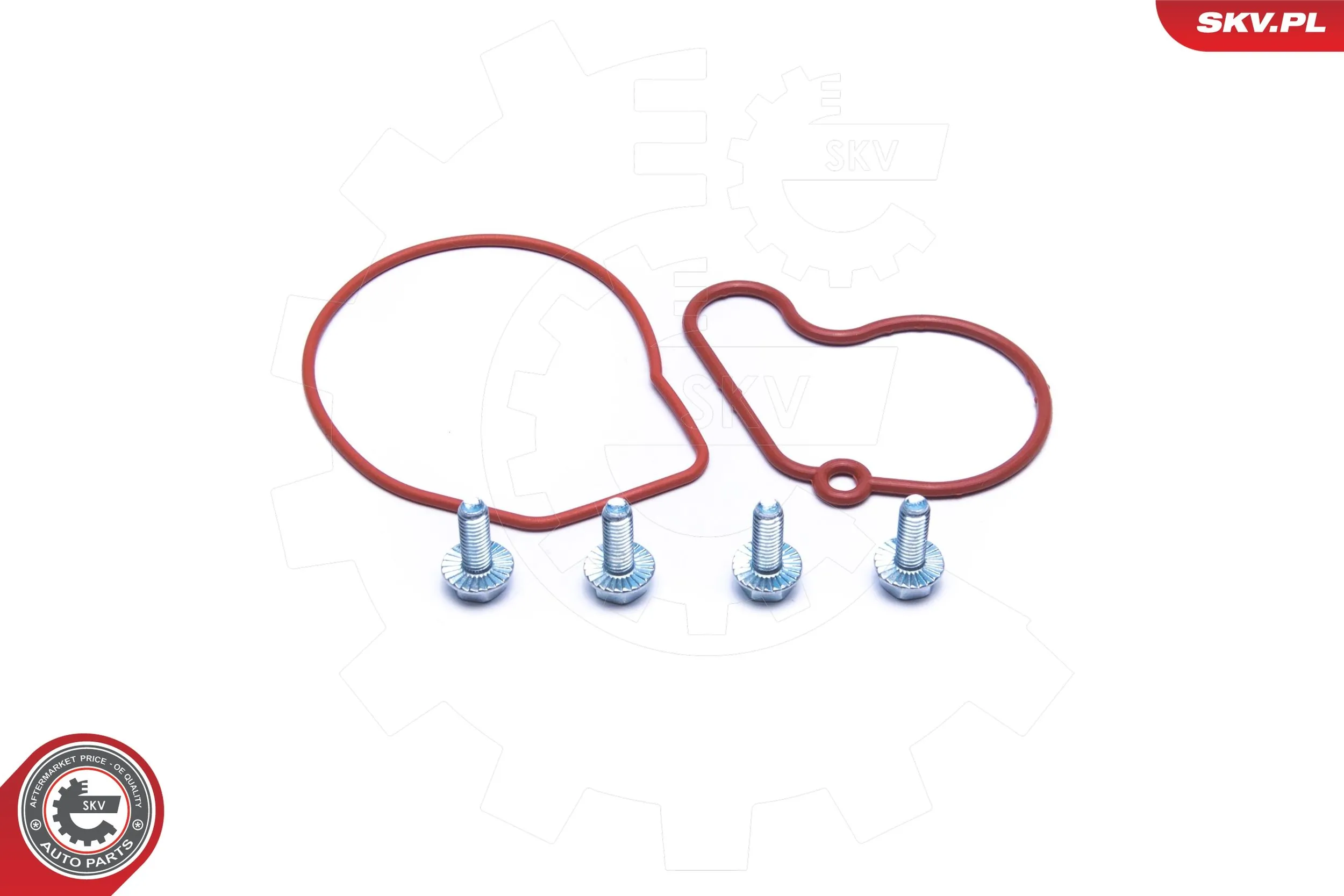 Repair Set, vacuum pump (braking system) 18SKV807