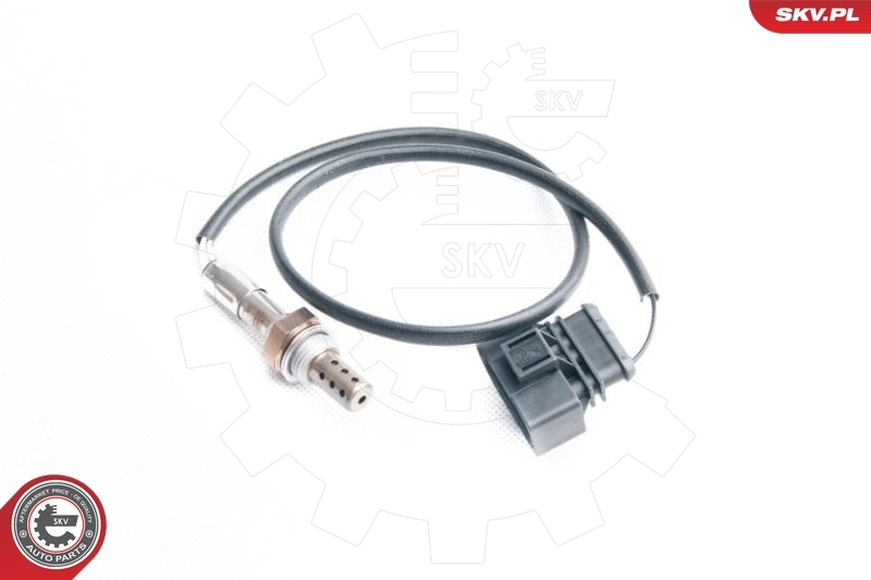 Oxygen Sensor 09SKV100