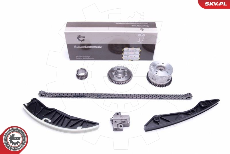 Timing Chain Kit 21SKV244