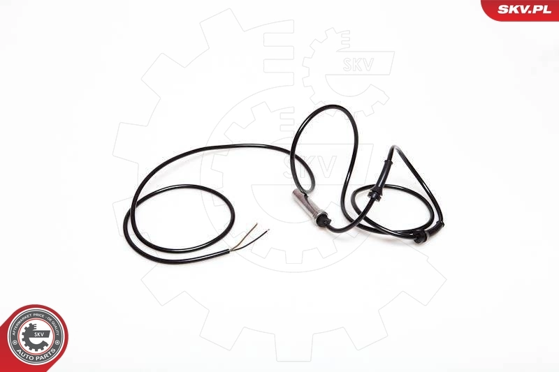 Sensor, wheel speed 06SKV148