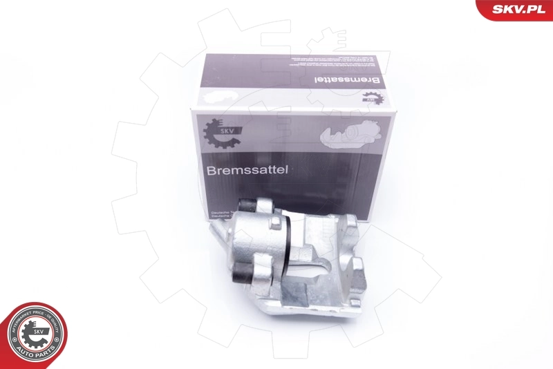Brake Caliper 42SKV022