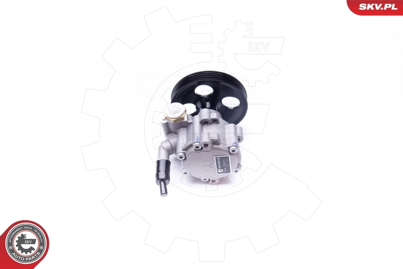 Hydraulic Pump, steering 10SKV251