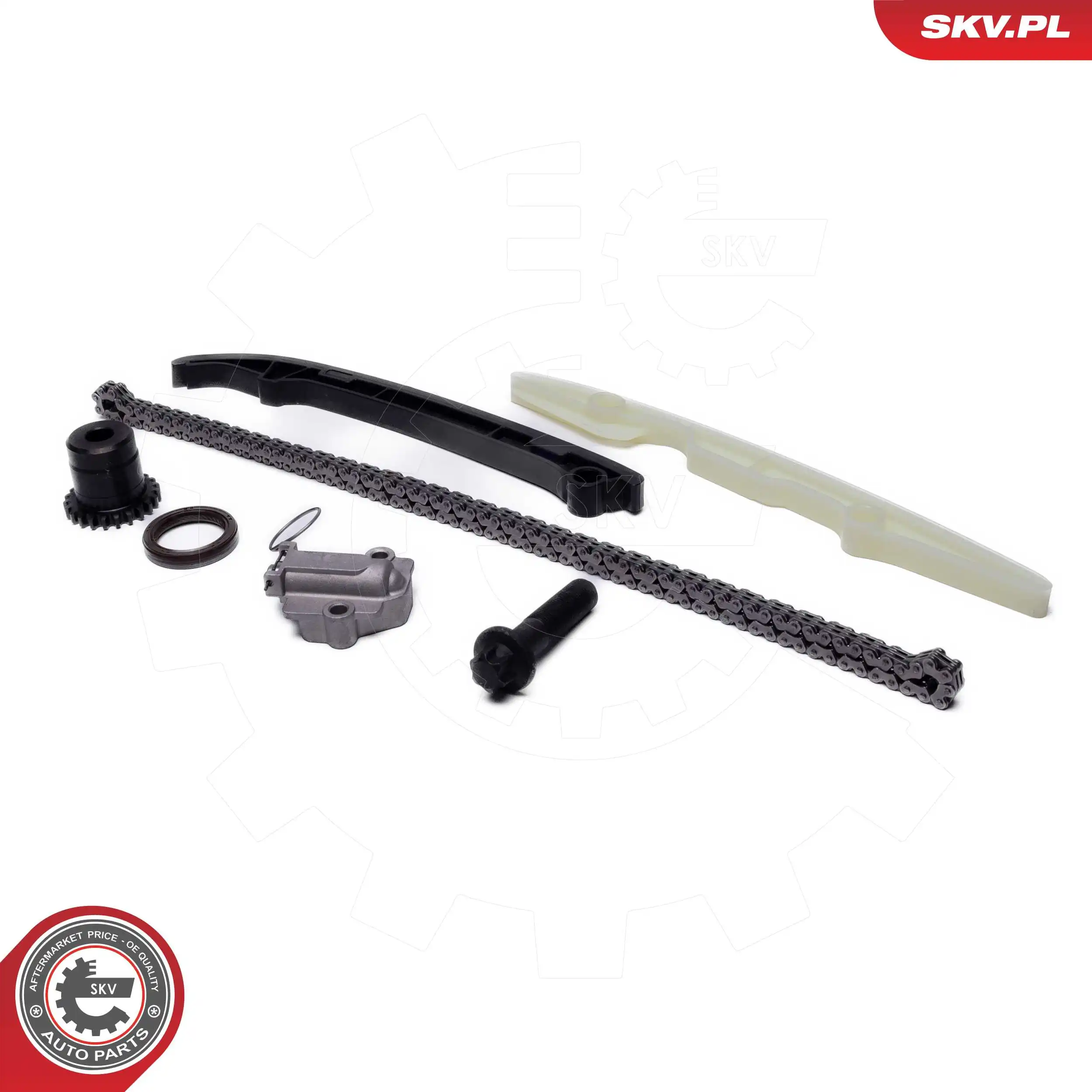 Timing Chain Kit 21SKV262