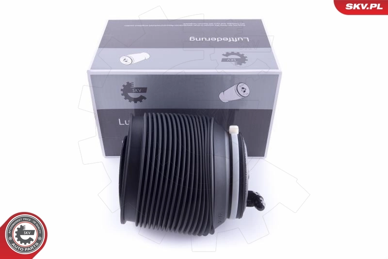 Air Spring, suspension 58SKV009