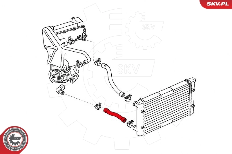 Radiator Hose 43SKV720
