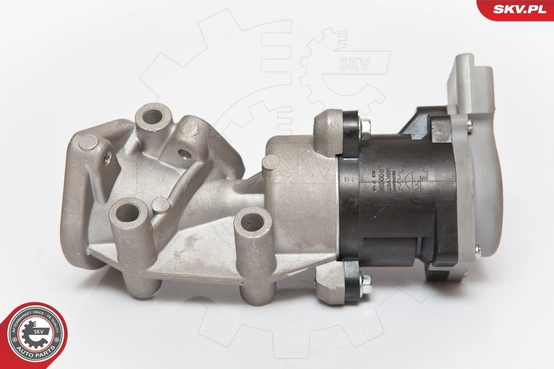 EGR Valve 14SKV072