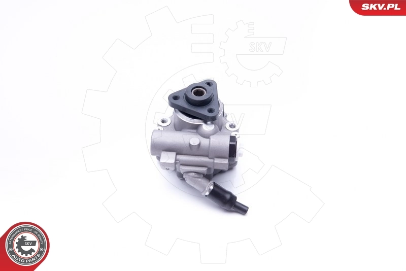 Hydraulic Pump, steering 10SKV243