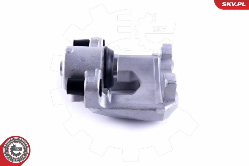Brake Caliper 55SKV333
