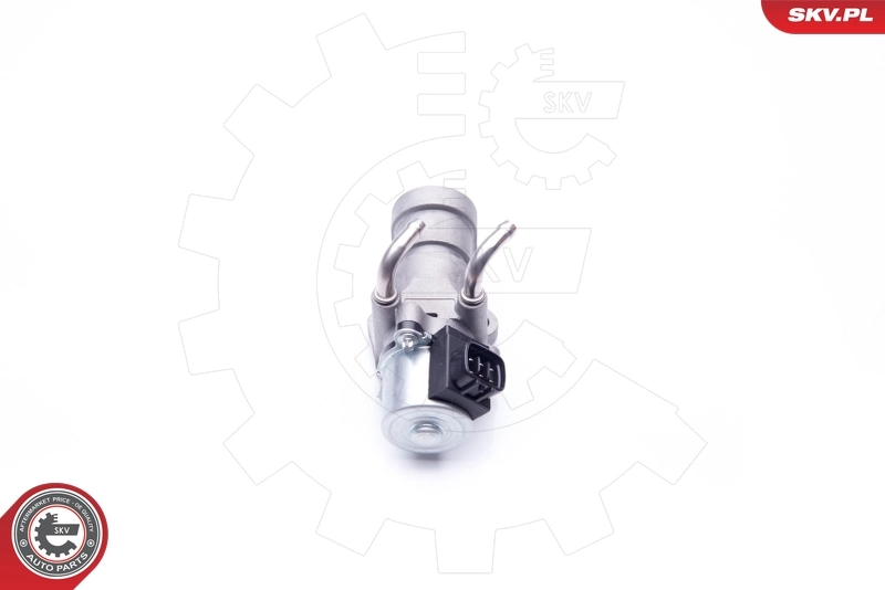 EGR Valve 14SKV190